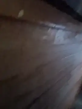 Raj41 online show from January 6, 12:58 am