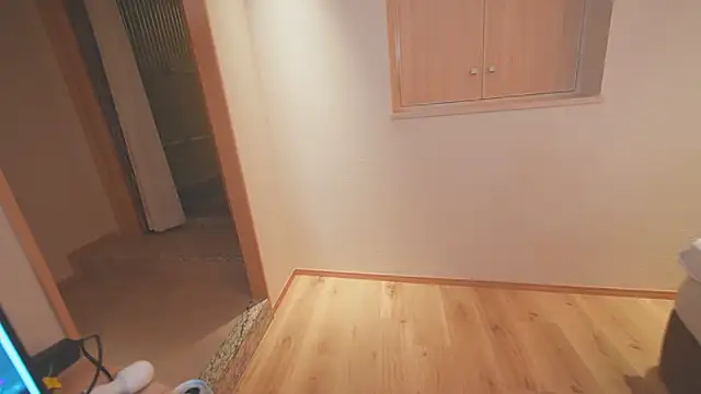 hansha kun online show from April 17, 1:14 pm