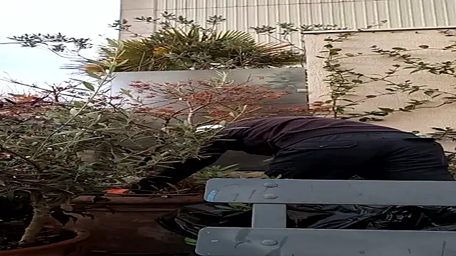 Snapshot of Vyda4 chatting on November 17, 8:31 am Vyda4 online show from November 17, 8:31 am