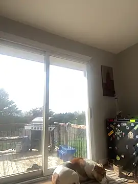 daisydukes666 online show from April 18, 1:26 pm