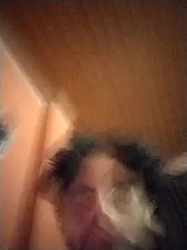 Nooneisthis online show from February 2, 7:20 am