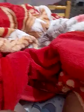 mhmia online show from February 6, 1:16 am