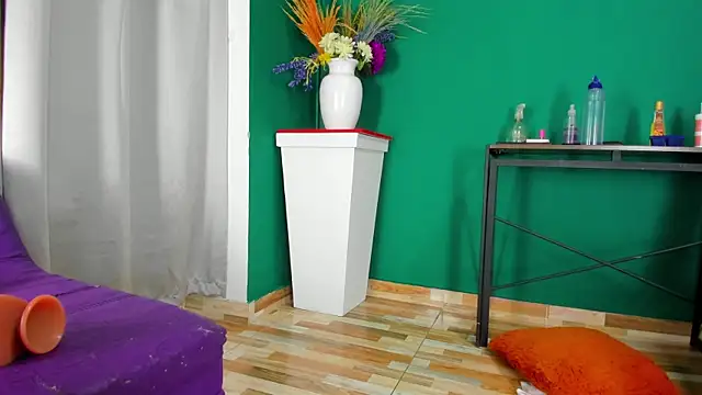 Snapshot of evaa_greey chatting on March 21, 2:28 am evaa greey online show from March 21, 2:28 am