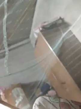 birds0641 online show from March 31, 7:36 pm