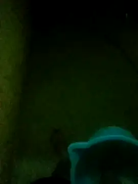 Night View online show from November 14, 5:33 pm