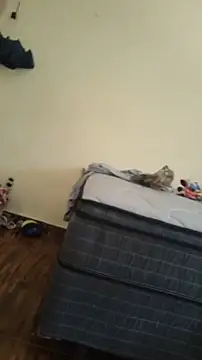 JapeDoBryan online show from May 16, 6:28 pm