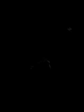 Snapshot of Codybugs0206 chatting on November 22, 11:59 pm Codybugs0206 online show from November 22, 11:59 pm