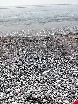 NAvoglia online show from July 20, 1:46 pm