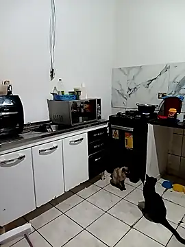 Pantaneirasexy online show from November 27, 4:31 pm