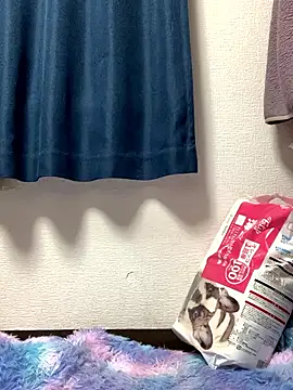 PINO pino 01 online show from November 24, 5:45 pm