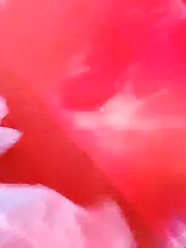 dominationmybigdick online show from December 3, 9:51 am