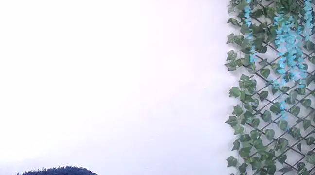 7 Saturno 7 online show from February 13, 12:43 pm