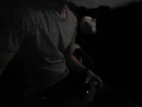 Snapshot of MarioKnero chatting on February 26, 9:52 am MarioKnero online show from February 26, 9:52 am