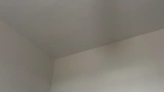 skyejde online show from February 12, 8:26 pm