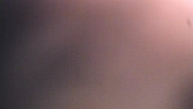 Dhalila  online show from December 17, 1:17 pm