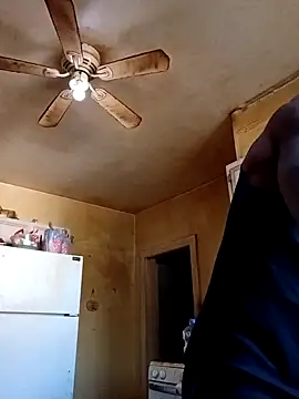 birdg online show from November 12, 6:41 pm