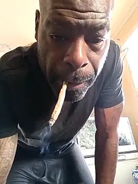 birdg online show from February 22, 2:04 pm