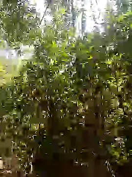 Snapshot of Pussy-Hairy-Horny chatting on February 16, 6:54 pm Pussy-Hairy-Horny online show from February 16, 6:54 pm