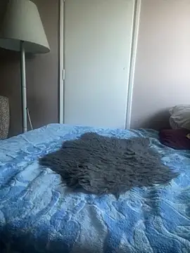 Budibudi5 online show from October 12, 6:01 am