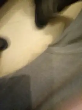 flo000031 online show from January 14, 3:28 pm