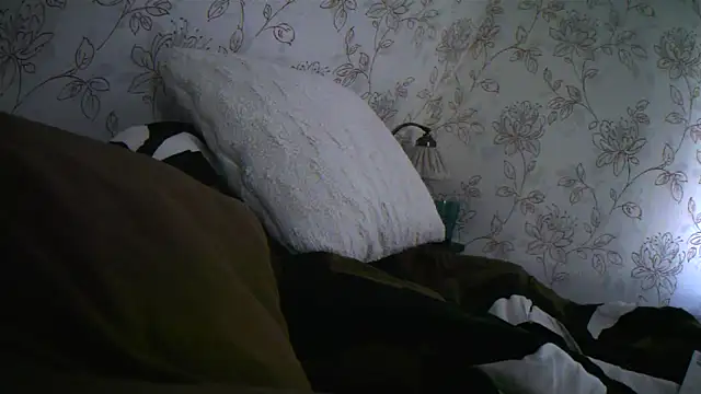 Snapshot of Teemu chatting on September 27, 2:33 pm Teemu online show from September 27, 2:33 pm