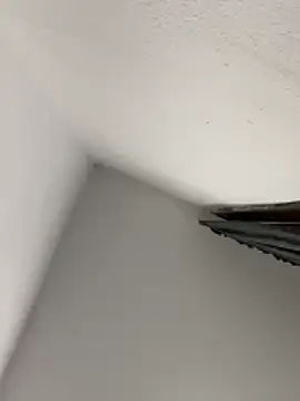 morfeoX online show from April 18, 9:35 am