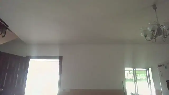 llopaco online show from June 20, 10:18 am