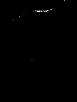 Loly2025 online show from March 21, 12:10 pm