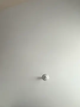 Karla Stein2025 online show from November 22, 1:10 pm