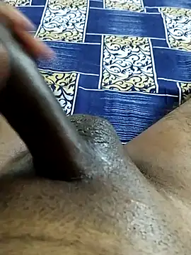 desi pb02 online show from December 21, 7:37 am