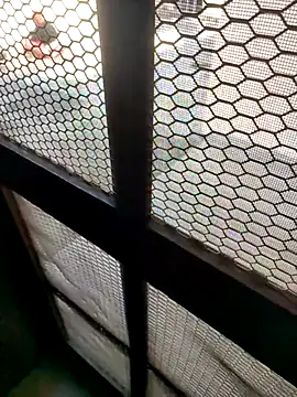 indian couple4 online show from February 7, 8:40 am