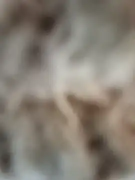 mauroxx08 online show from April 5, 3:20 pm