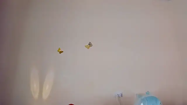 violett 24  online show from November 14, 1:15 am