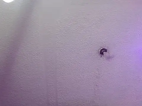 Snapshot of Pandora_9666 chatting on October 24, 3:25 am Pandora 9666 online show from October 24, 3:25 am