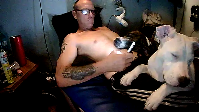PornStro921 online show from June 9, 6:08 pm