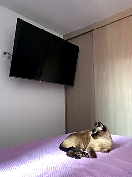 AshleyG 222 online show from December 17, 4:46 pm