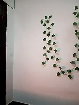 Neha-Bhabhi-Rasily online show from February 20, 11:11 am