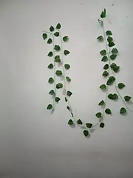 Neha-Bhabhi-Rasily online show from February 22, 9:08 am