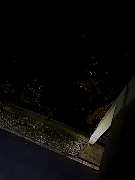 Snapshot of BUTTerflyTODAY chatting on April 22, 1:52 am BUTTerflyTODAY online show from April 22, 1:52 am