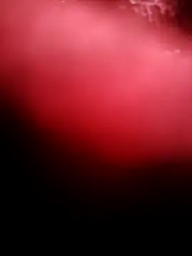 punam259 online show from December 4, 2:32 am