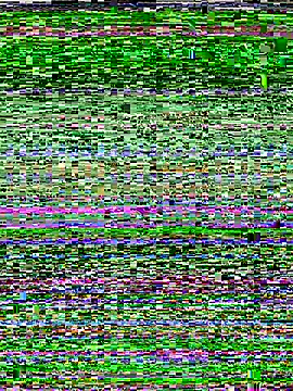 RightFielder online show from November 25, 3:01 pm