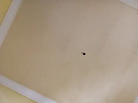 patrona sexooo online show from April 2, 2:04 pm