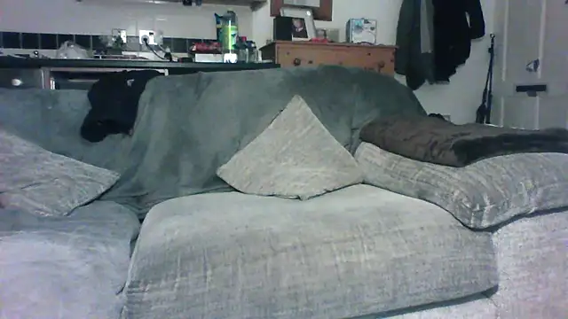 Snapshot of Grower_and_shower chatting on November 30, 11:42 pm Grower and shower online show from November 30, 11:42 pm