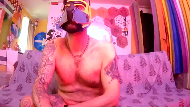 danix wild wolf online show from May 11, 10:54 am