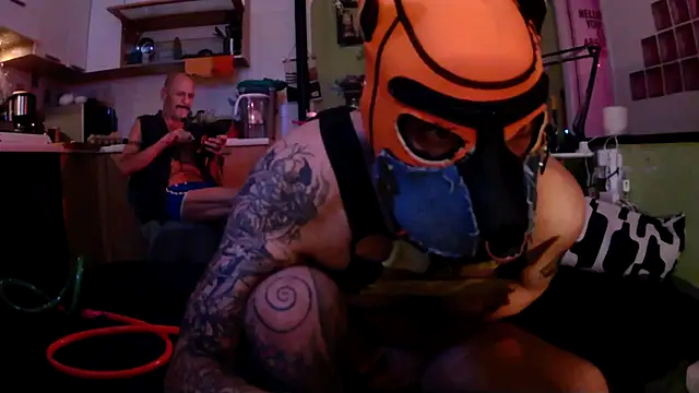 danix wild wolf online show from May 12, 12:41 am