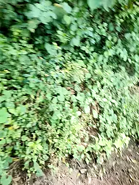 Snapshot of himvilohi08 chatting on October 2, 5:14 am himvilohi08 online show from October 2, 5:14 am