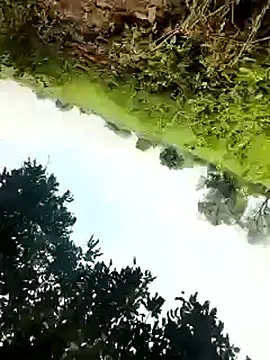 Snapshot of himvilohi08 chatting on October 4, 5:27 am himvilohi08 online show from October 4, 5:27 am