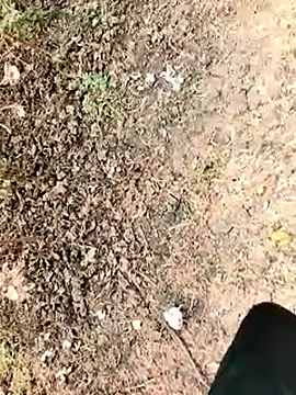 himvilohi08 online show from January 7, 6:16 am