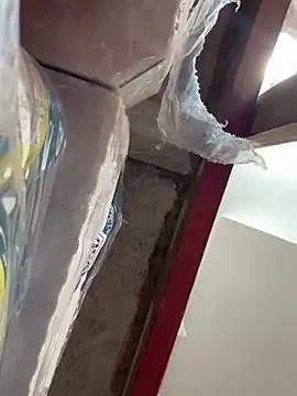 Snapshot of wainer02 chatting on March 11, 1:12 pm wainer02 online show from March 11, 1:12 pm