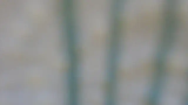 Snapshot of RobertaFox69 chatting on December 6, 4:49 pm RobertaFox69 online show from December 6, 4:49 pm